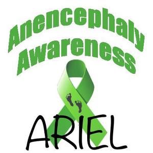 Meet your Posher, Robby